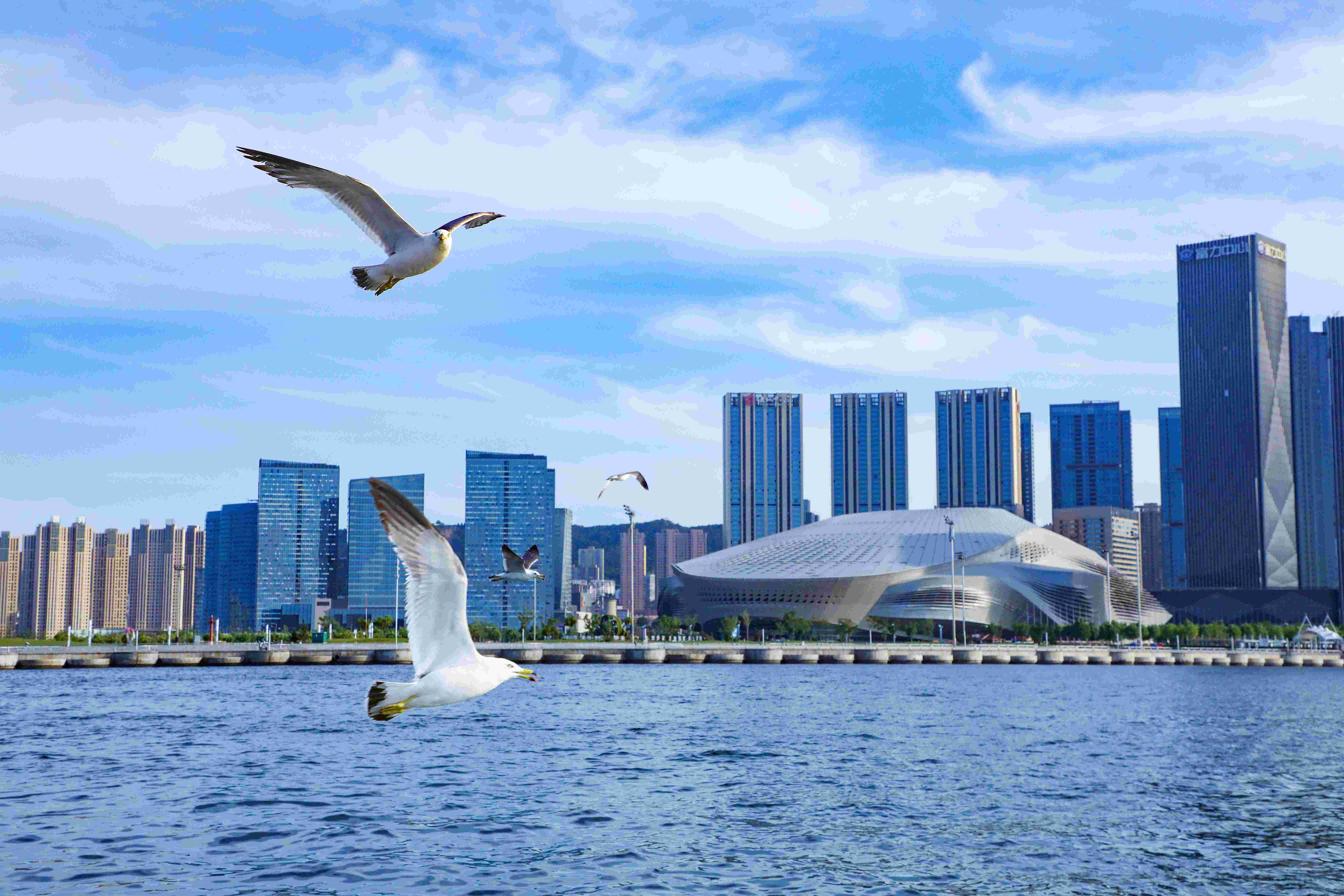 AG����ᡤ(�й���)������ҳ