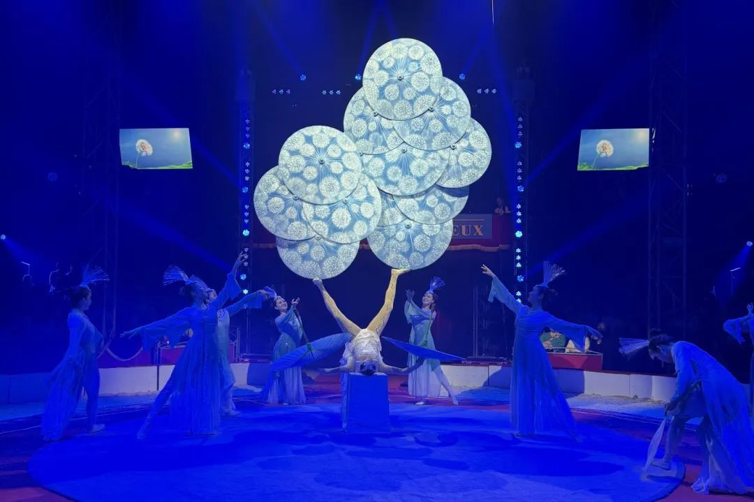 AG����ᡤ(�й���)������ҳ